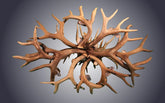Antler Chandelier - 8 Light Oval Mule Deer bottom view